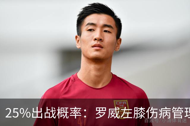25%出战概率：罗威左膝伤病管理，开拓者主场对灰熊恐缺他